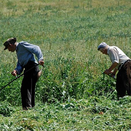 Turisme Rural Lo Pallé de Cal Bosch Llagunes Esterno foto