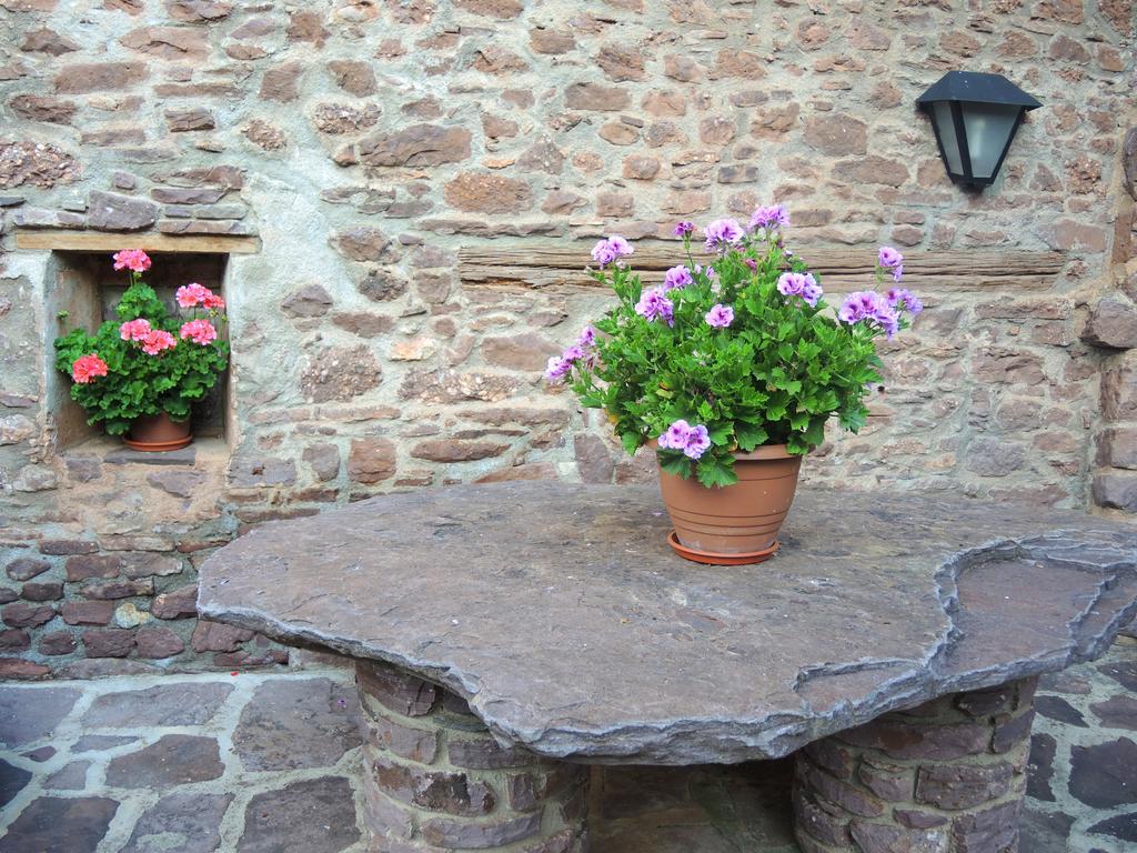 Turisme Rural Lo Pallé de Cal Bosch Llagunes Esterno foto