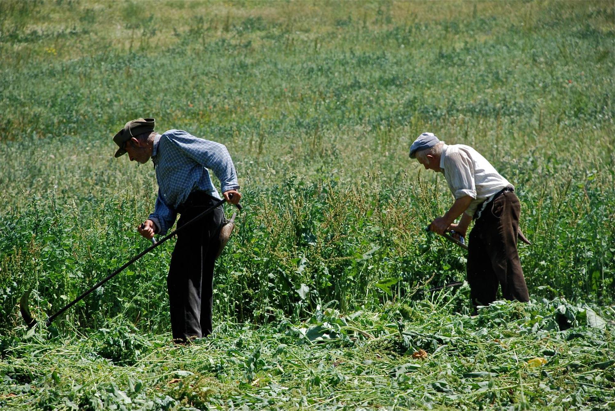 Turisme Rural Lo Pallé de Cal Bosch Llagunes Esterno foto