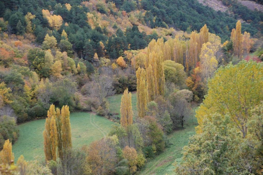 Turisme Rural Lo Pallé de Cal Bosch Llagunes Esterno foto