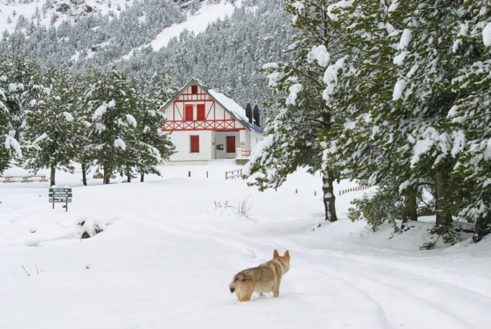 Turisme Rural Lo Pallé de Cal Bosch Llagunes Esterno foto