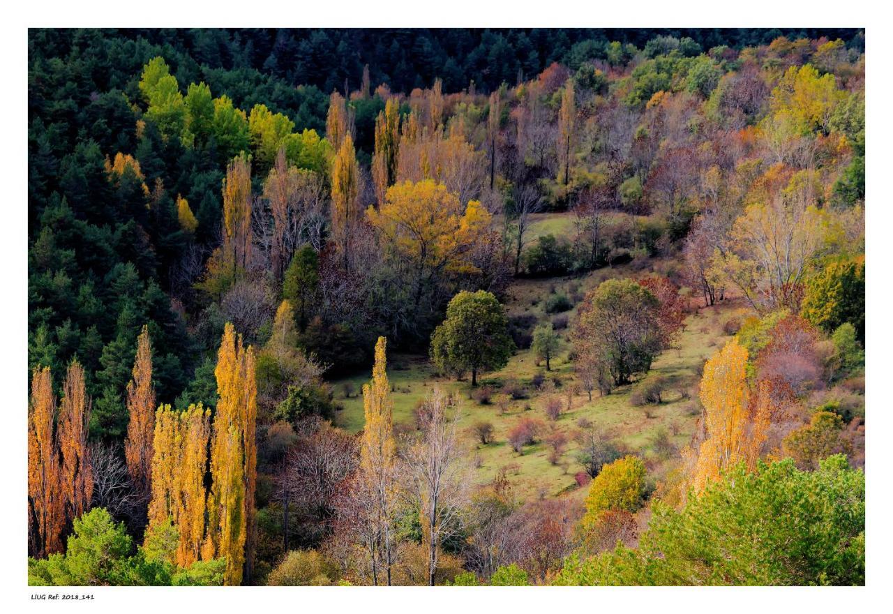 Turisme Rural Lo Pallé de Cal Bosch Llagunes Esterno foto